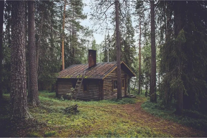 an image of a cabin in the woods that serves as an example of how to optimize alt text for web accessibility