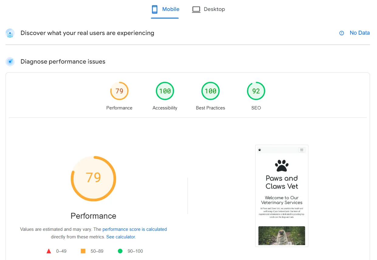 a screenshot of the website performance results from the PageSpeedInsights tool